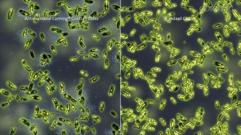 624142960001_3007001889001_vs-52c73b1be4b05e49470ea4cd-767904719001