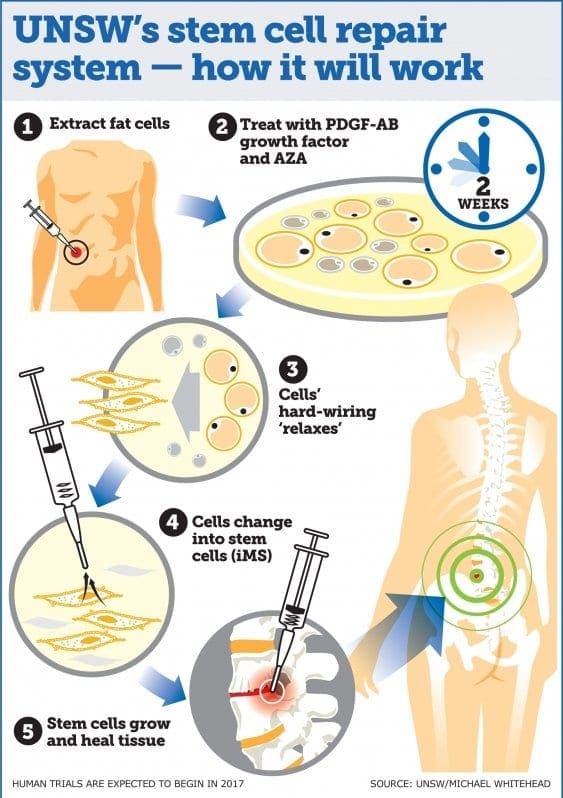 a5_size_-_how_it_will_work_2