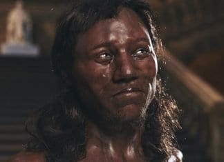 Нови анализи покажуваат дека првиот Британец од модерното време имал темна кожа