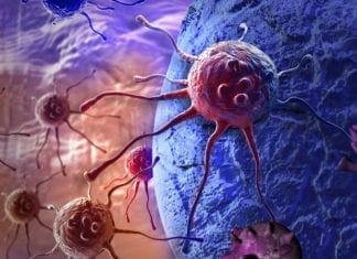 Вакцината која „уништува тумори“ конечно може да се испитува на луѓе