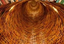 4 работи кои може да ги научите додека трае празник