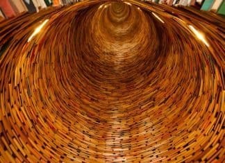 4 работи кои може да ги научите додека трае празник