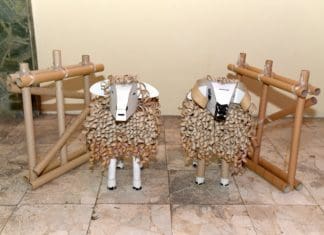 „Trash for Art“ 2019: Најдобрите уметнички дела создадени од амбалажен отпад добија награди од Пакомак