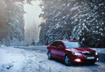 red sedan in the middle of forest