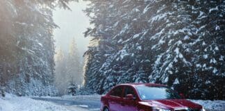 red sedan in the middle of forest