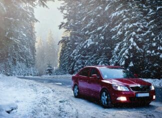 red sedan in the middle of forest