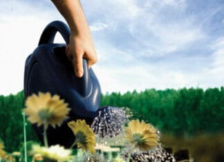 БАТ ги открива амбициозните нови еколошки цели во извештајот за ЕОЦ 2020