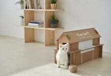 Заедно за поубава и почиста планета – Еко пакување отсега и на Samsung Neo QLED телевизорите