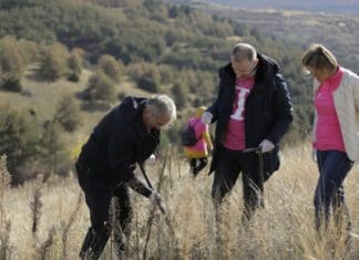 Телеком засади 25.000 нови дрвца и собра 12.000 стари мобилни уреди