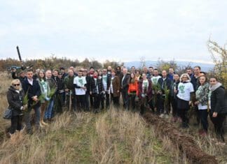 Засадени 40.000 дрвја во големата акција за пошумување „СОНЧЕВА ГОРА“