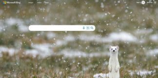 Microsoft планира да ја користи ChatGPT технологијата од OpenAI во нивниот Bing пребарувач