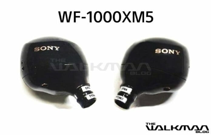 wf1000xm5_cover
