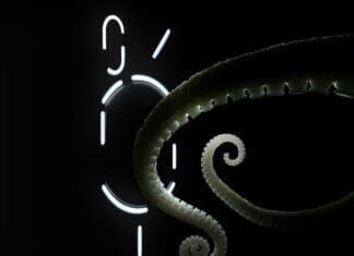 Nothing Phone (2) ќе биде претставен на 11 јули