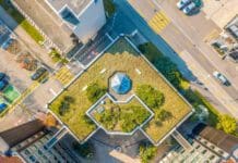 Бенефити од кровните градини и зошто треба што побрзо да се дел од урбаните средини