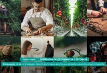 АЕТМ објавува нов Jавен повик за зајакнување на дигиталните вештини и отварање нови е-продавници: „Дигитално подготвени за е-трговија“