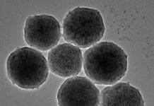 Нови нанороботи ќе овозможат поедноставно и безбедно третирање на мозочните аневризми