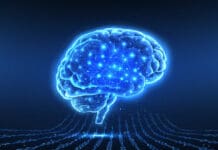 Колку податоци навистина обработува човечкиот мозок? Експертите го откриваат капацитетот