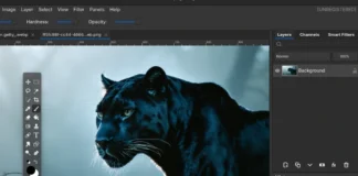 Fog Panther е нова професионална апликација за работа со слики создадена исклучиво за Linux