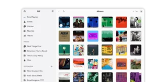 Riff е бесплатна неофицијална апликација за Spotify на Linux, но работи само со Premium претплата