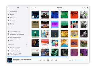 Riff е бесплатна неофицијална апликација за Spotify на Linux, но работи само со Premium претплата